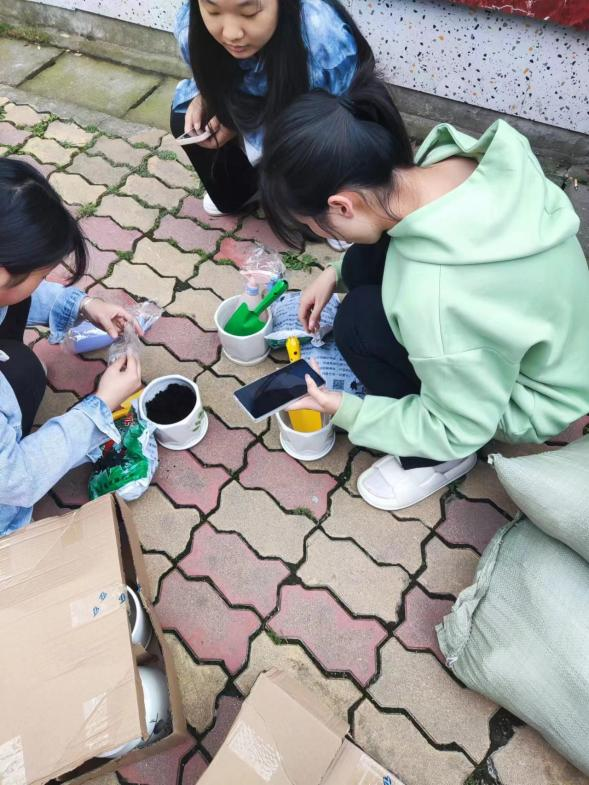 溫暖生命,治愈自我--525心理健康月 溫暖生命,治愈自我--525心理健康月