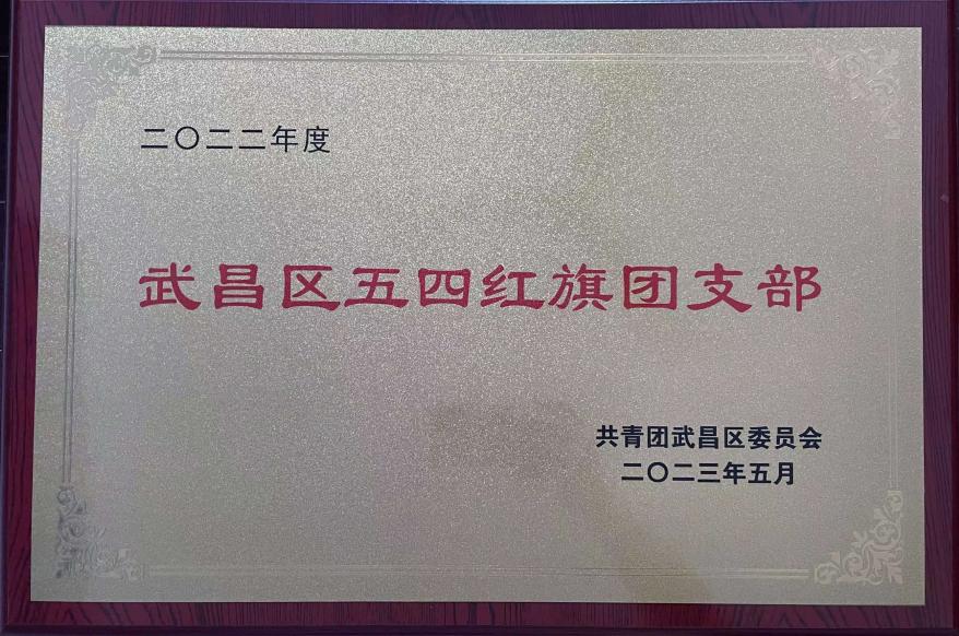 喜報!團武昌區委表彰我校四個先進集體和個人! 喜報!團武昌區委表彰我校四個先進集體和個人!