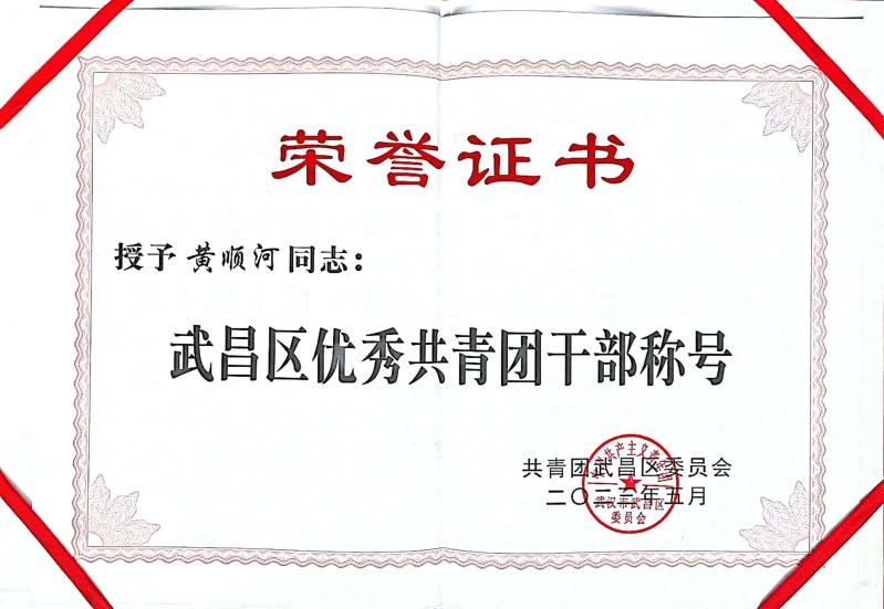 喜報!團武昌區委表彰我校四個先進集體和個人! 喜報!團武昌區委表彰我校四個先進集體和個人!