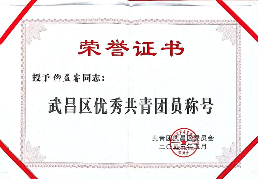 喜報!團武昌區委表彰我校四個先進集體和個人! 喜報!團武昌區委表彰我校四個先進集體和個人!