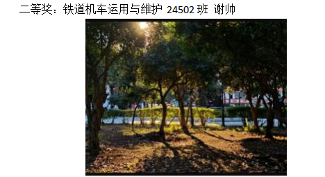 青春光影，定格武科職美好瞬間 ——武漢科技職業學院2026年校園攝影大賽圓滿收官