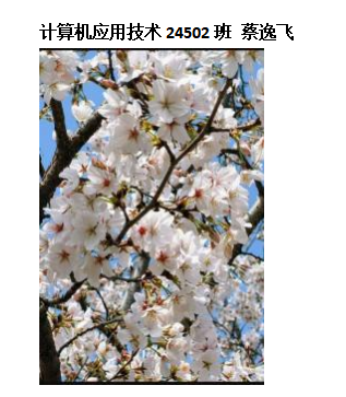 青春光影，定格武科職美好瞬間 ——武漢科技職業學院2026年校園攝影大賽圓滿收官