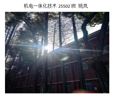 青春光影，定格武科職美好瞬間 ——武漢科技職業學院2026年校園攝影大賽圓滿收官