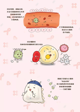 絲帶飄揚 ，用心學“艾”