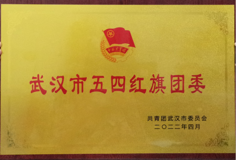 喜報！我校團委工作榮獲武漢市和武昌區五四表彰多項榮譽